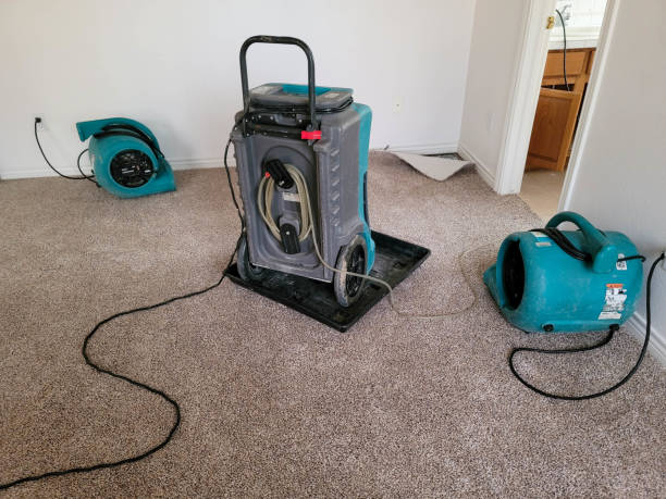 Best 24-hour water damage restoration  in Mammoth Lakes, CA