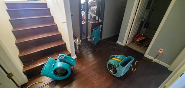 Best Local water damage restoration  in Mammoth Lakes, CA