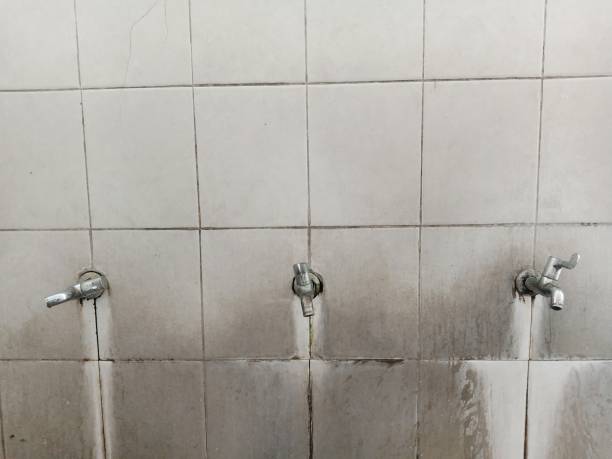 Best Fire Damage Restoration  in Mammoth Lakes, CA