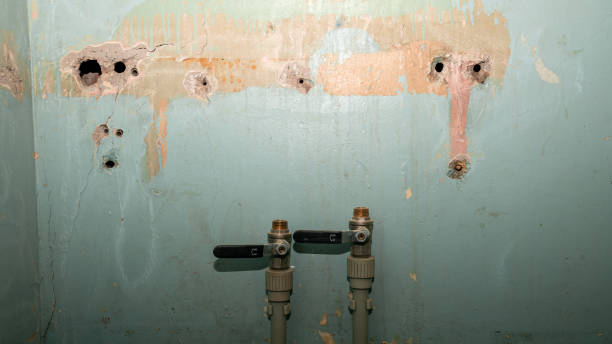 Best 24/7 water damage repair  in Mammoth Lakes, CA