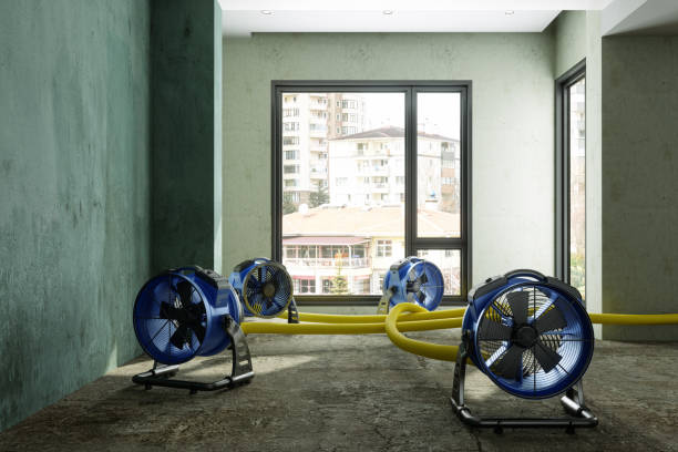 Best Water damage restoration near me  in Mammoth Lakes, CA